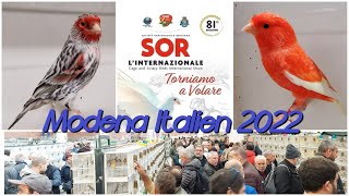 SOR L’INTERNAZIONALE Vogelausstellung amp Vogelboerse in Modena Fiere 2022 [upl. by Guidotti347]