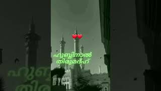 Muthilum muthaya nabiye❤❤ islamicstatus mad h song [upl. by Erhard145]