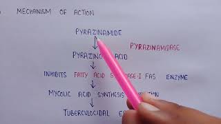 Pyrazinamide in medicinal chemistry  structure of Pyrazinamide  Mechanism of action  uses [upl. by Jeffers]