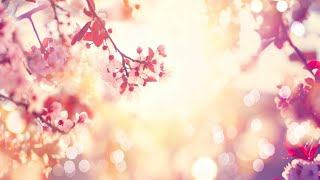 Relaxing Sleep Music • Soft Piano Music for Yoga Meditation Sleep and Relaxation 98 [upl. by Odla]