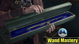 Wand Mastery  Hogwarts Legacy  No Commentary [upl. by Preciosa]