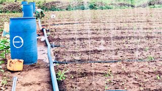 Le secret du système d’irrigation sans moto pompe [upl. by Awram]