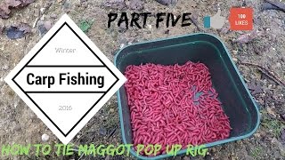 How To Tie Pop Up Maggot Rig Winter Carp Fishing  Part 5 [upl. by Ansell637]