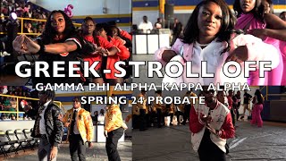 GREEKSSTROLLING Kappas Deltas AKAs SGRHO Alphas  GPHI Alpha Kappa Alpha  SPRING PROBATE 2024🔥 [upl. by Verina]