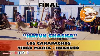 FINAL Los Carapachos  Tingo Maria  Huanuco  Hatun Chaska  Revalorando Nuestro Folklore 2023 [upl. by Ahsercel]