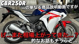 【CBR250R】を破格出品します [upl. by Anoi608]