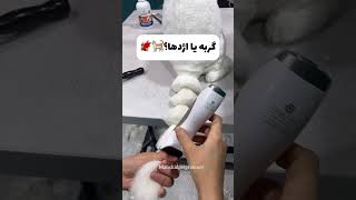 Pet grooming ✂️😍 pets cat pomeranian petshop animals grooming ترند [upl. by Mizuki130]