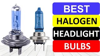 Top 10 Best Halogen Headlight Bulbs in 2022 [upl. by Templas]