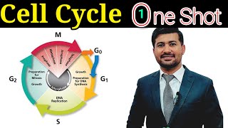 Cell cycle chapter 19 Fsc biology class 12 in one shot [upl. by Lydon124]