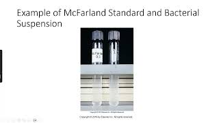 Clinical Microbiology Antimicrobial Susceptibility Testing [upl. by Farica]