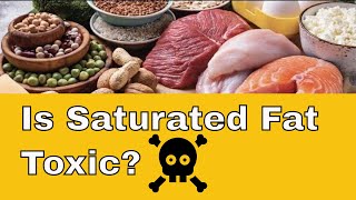 Is The Keto Diet Healthy Saturated Fats  Jason Fung [upl. by Akiemat]