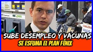 Sube desempleo y vacunas Se esfuma el plan Fénix [upl. by Archibold993]