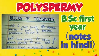 polyspermy fast and slow blocks of polyspermy in hindi [upl. by Anatnahs665]