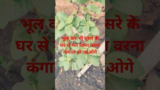 motivation vastu love astrology flowers ytviral funny song youtubeshorts ytviral [upl. by Rehc]