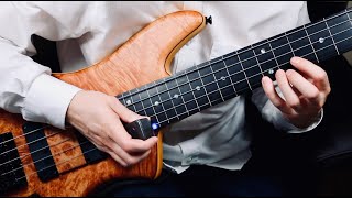 EBow and fretless bass sound UNREAL [upl. by Umberto]