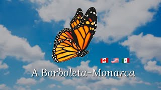 A BorboletaMonarca O Fascinante Caminho do Canadá ao México [upl. by Andris]