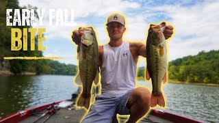 Bass fishing Cherokee Lake 2023 [upl. by Endaira170]