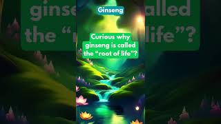 Curious why ginseng is called the “root of life” [upl. by Sicular102]