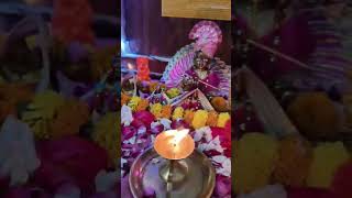 Diwali pooja tapovanharidwar reels shorts viralvideo diwali hindudeity song [upl. by Moyna]