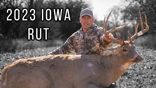 Toughest Deer Season To Date Davids 2023 Whitetail  Iowa Whitetail Rut  Mature Whitetails [upl. by Acinehs797]