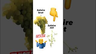 Le salaire NET… Cette BLAGUE 🤦‍♂️😂 Qui a remarqué  🤚 [upl. by Rockwood707]