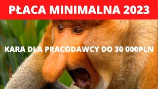 Płaca minimalna 2023  czy wiesz że pracodawcy grozi kara do 30 000 PLN [upl. by Vassaux746]