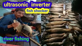 amaizing fishing in river electric fish shock [upl. by Raffaello365]