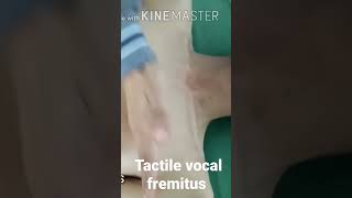 Tactile Vocal Fremitus [upl. by Alroy269]