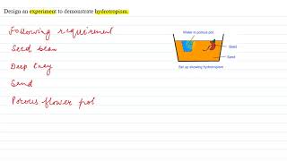 Design an experiment to demonstrate hydrotropism [upl. by Ellesor298]