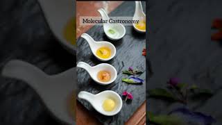 Molecular Gastronomy Techniques [upl. by Kerek]