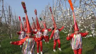 Gruppo Folkloristico città di Vignola fioritura 2017 [upl. by Noraed660]