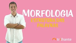 Morfologia Estrutura das Palavras [upl. by Phillis238]