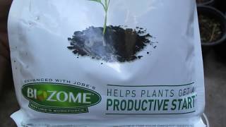 Organic Fertilizer to Use for Seedlings [upl. by Riorsson72]