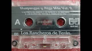 Los Rancheros de Teran  HUAPANGOS Y ALGO MAS Vol II Album Completo [upl. by Aicnatsnoc951]