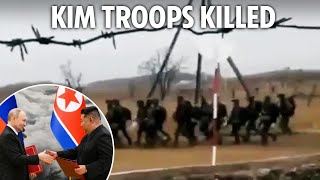 Ukraine wipes out 40 ‘elite’ North Korean soldiers in bloodbath as Putin plan backfires [upl. by Libby]