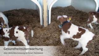 FörsterTechnik Smart Calf System deutsch [upl. by Petit712]