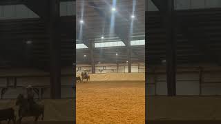 “Team Roping Fundamentals Tips Techniques and Thrilling Highlights” [upl. by Halpern]