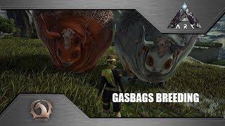 Ark Survival Evolved  Breeding Gasbags [upl. by Bran]