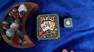 Tarot Nova  A Very Tiny Tarot Deck  An Unconventional FlipThrough amp Sample Card Readings [upl. by Asilrahc]