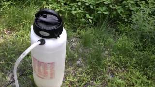 How to kill Pokeweed Japanese Knotweed and Bamboo [upl. by Thalassa]