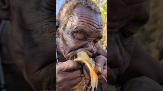 Thats breakfast😋 Roots Food Chief hadzabe eating their foodbushmen africa [upl. by Fotinas339]