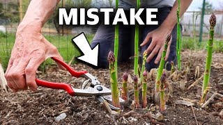 You’re Killing Your Asparagus if You Do This 5 MISTAKES You Can’t Afford to Make Growing Asparagus [upl. by Aliam]