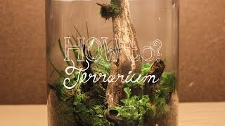 Make a Terrarium w Local Materials Native Terrarium  How To Terrarium ep3 [upl. by Noitsuj82]