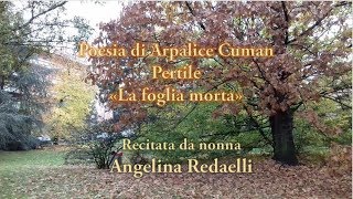 Poesia quotGemè la fogliaquot La foglia morta di Arpalice Cuman Pertile [upl. by Anoel606]