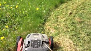 Klippo lawn mower long grass cutting [upl. by Artimas]