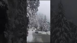 MonalishootKashmirMonali Kashmirshort videobeautiful placetrending [upl. by Acnaib]