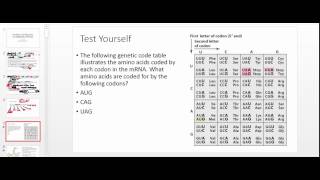 Transfer RNA tRNA Codons and Anticodons [upl. by Kerry]