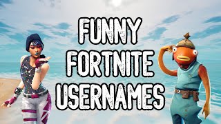 Funny Fortnite Usernames 😂 Hilarious  Inappropriate Names [upl. by Ellehcer]