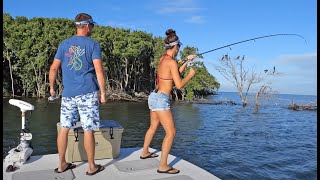 Crystal River SNOOK and REDFISH  Livin the Dream [upl. by Nwahsd]