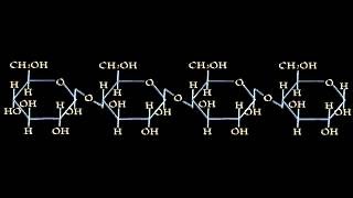 Formazione polisaccaridi [upl. by Alansen]